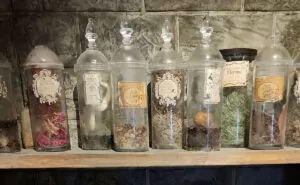 Harry Potter Potions