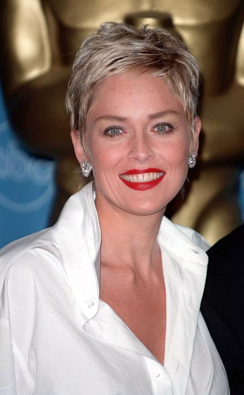 Sharon Stone Net Worth in 2024 How the 'Basic Instinct' Star Made Her