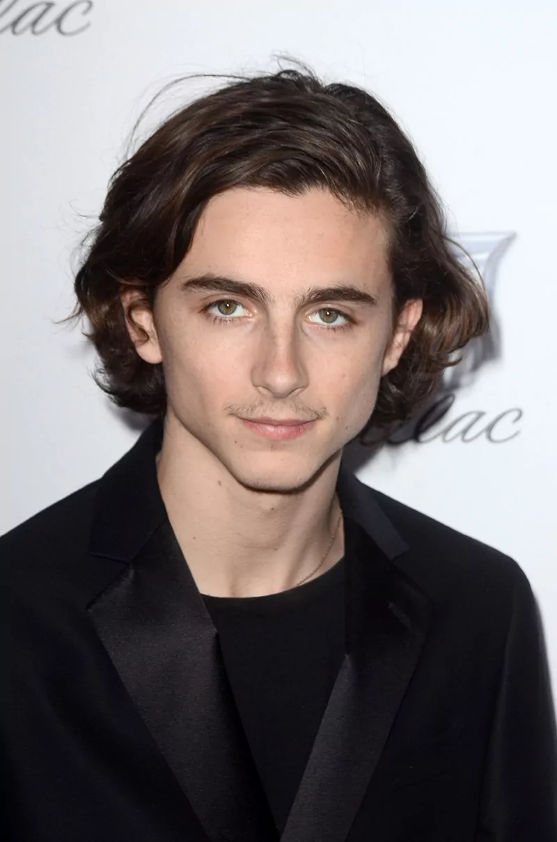Young Timothee Chalamet