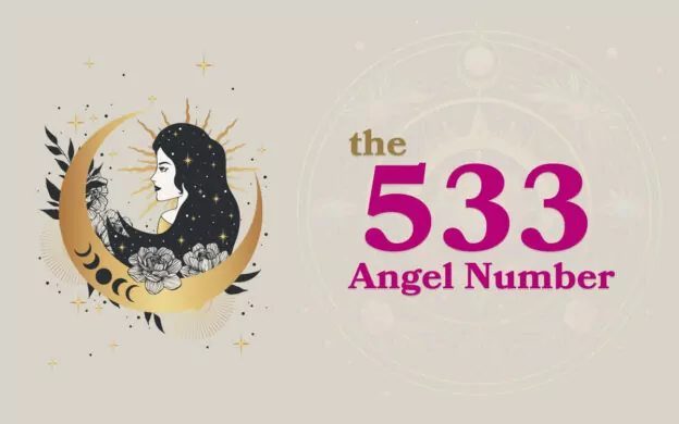 533 Angel Number