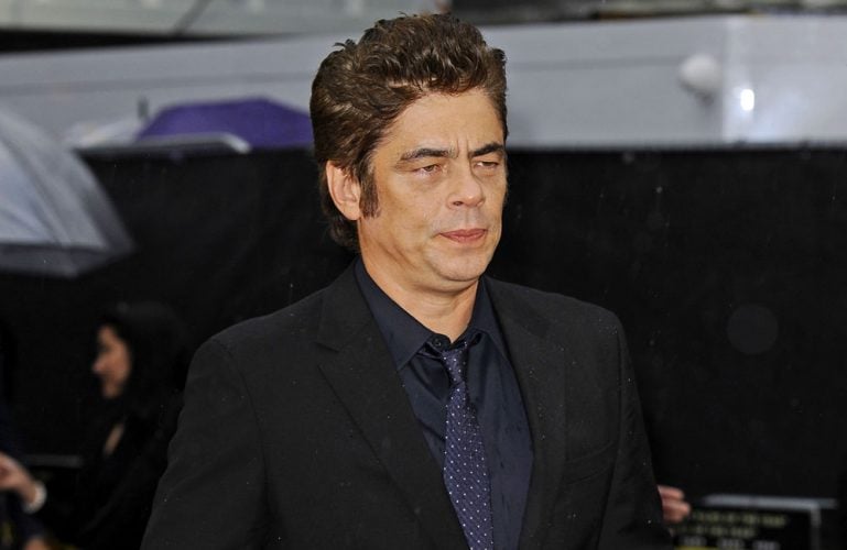 Benicio Del Toro