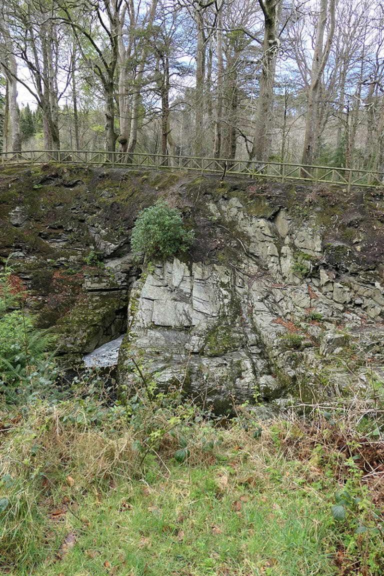 Game of Thrones Filming Location: Tollymore Forest