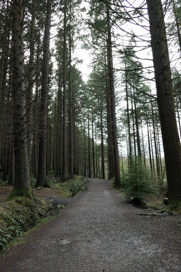 Game of Thrones Filming Location: Tollymore Forest
