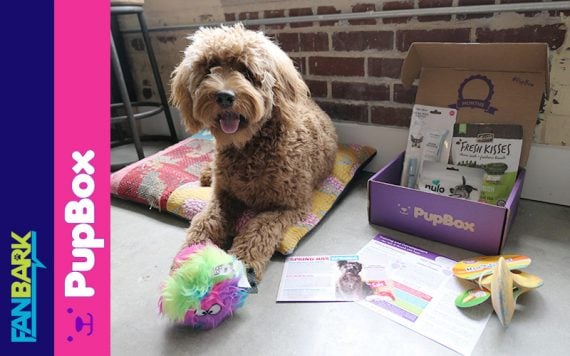 FanBark: Fozzie and the April Pupbox