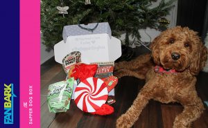 FanBark Unboxing: “Holiday 2018” The Dapper Dog Box Review