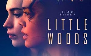 Little Woods Review
