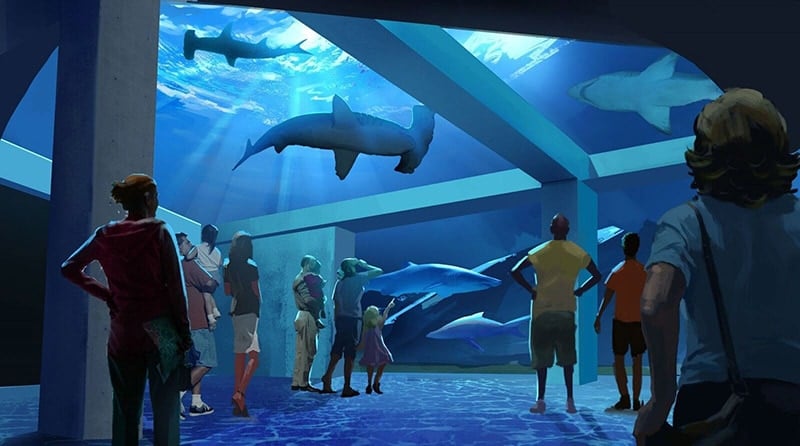 Georgia Aquarium Expansion