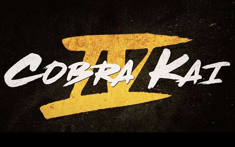 Cobra Kai season 4 release date, trailer, cast and more