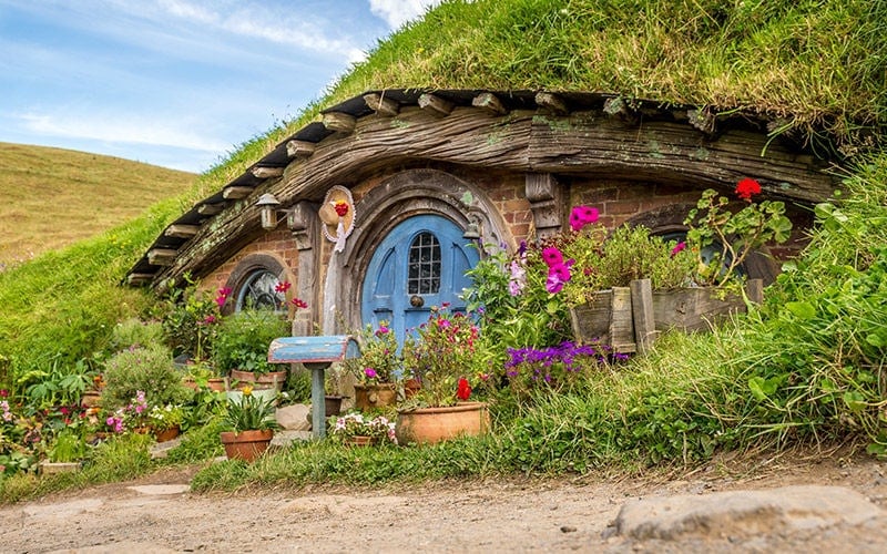 Hobbit House Airbnbs