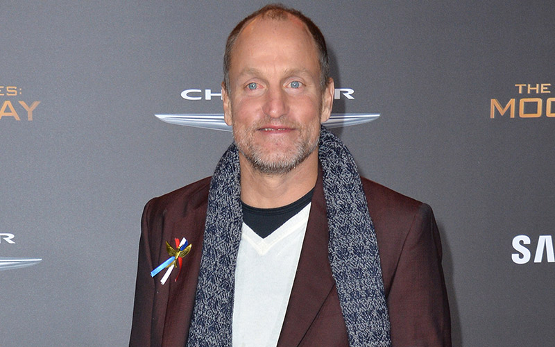 Woody Harrelson at the premiere of The Hunger Games: Mockingjay - Part 2