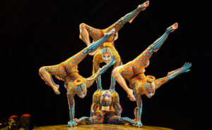 The Life of a Cirque du Soleil Contortionist | An Interview with Bayarma