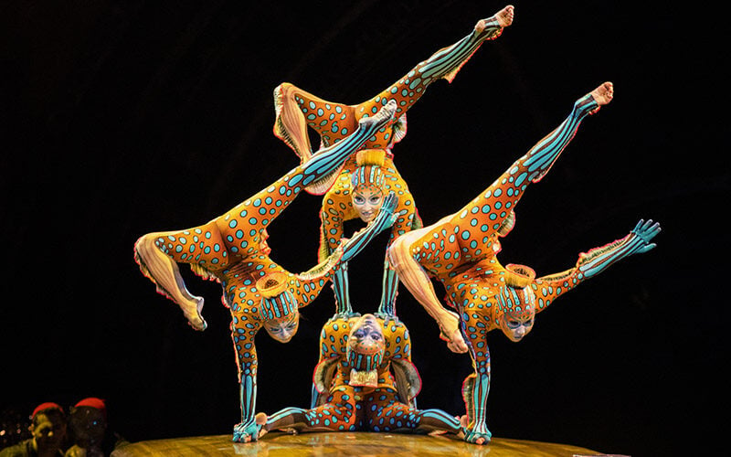 Cirque du Soleil Contortionist