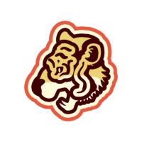 Tiger Fan Badge