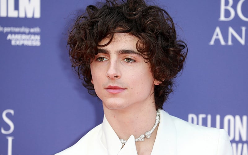 Timothee Chalamet