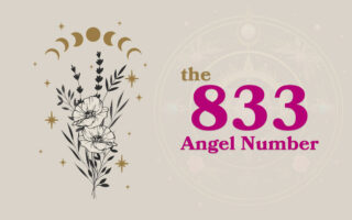 833 Angel Number